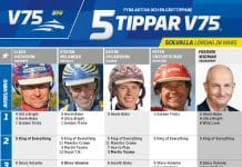 Fem tippar V75 till Solvalla 28 mars 2020 Fem tippar V75 till Solvalla 28 mars 2020