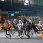 Inför V86: Årsdebut från ett perfekt läge Årsdebut från ett perfekt läge