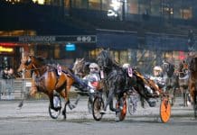 Inför V86: Årsdebut från ett perfekt läge Årsdebut från ett perfekt läge