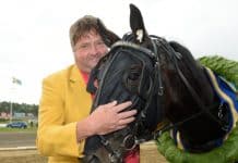 Attraversiamo fjärde hästen in i Elitloppet Attraversiamo fjärde hästen in i Elitloppet