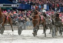 Elitloppet 2020 kommer att köras Elitloppet 2020 kommer att köras