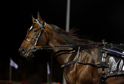 Han har tjänat över tio miljoner kronor