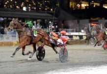 Inför GS75: Lyckad vinter för Untersteiner elitloppshopp Inför GS75: Lyckad vinter för Untersteiner elitloppshopp