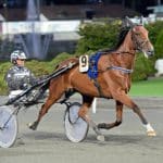 Inför V75 Jackpot: Lindblom om lördagens bästa chans Inför V75 Jackpot: Lindblom om lördagens bästa chans