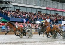 Mästarmöte i Elitkampen Mästarmöte i Elitkampen
