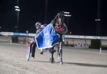 Inför V86: Per Oleg Midtfjeld åter i hetluften på Solvalla Per Oleg Midtfjeld åter i hetluften på Solvalla