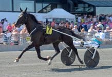 Sorbet seglade upp som en glödhet kandidat till Elitloppet Sorbet seglade upp som en glödhet kandidat till Elitloppet