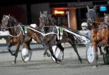Elitloppsklare Makethemark tar vägen via Köpenhamn Elitloppsklare Makethemark tar vägen via Köpenhamn