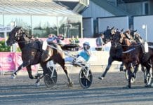Femte gången gillt för Propulsion i Elitloppet Femte gången gillt för Propulsion i Elitloppet
