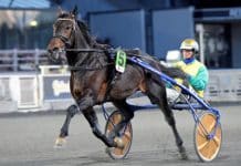 Goop inför Elitloppet: ”Jag har en bra känsla” Goop inför Elitloppet: ”Jag har en bra känsla”