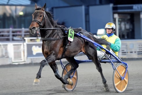 Goop inför Elitloppet: ”Jag har en bra känsla”