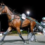 Inför V75 Jackpot: Han har flera starka kort med i jackpotleken Inför V75 Jackpot: Han har flera starka kort med i jackpotleken