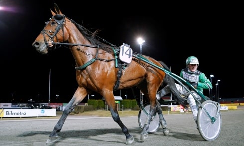Inför V75 Jackpot: Han har flera starka kort med i jackpotleken