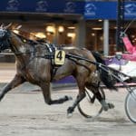 Inför Grand Slam 75: Den där Liza har ett jädra humör Inför Grand Slam 75: Den där Liza har ett jädra humör