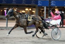 Inför Grand Slam 75: Den där Liza har ett jädra humör Inför Grand Slam 75: Den där Liza har ett jädra humör