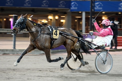 Inför Grand Slam 75: Den där Liza har ett jädra humör