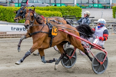 Inför V75 (lördag): Fransmannen rikast i Harper Hanovers