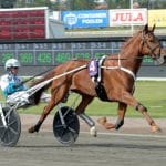 Inför V75/jackpot: Elitloppet inte aktuellt redan i år – eller? Inför V75/jackpot: Elitloppet inte aktuellt redan i år - eller?