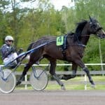 Inför V75 (lördag): Dramatisk värmning – kross i loppet Inför V75 (lördag): Dramatisk värmning – kross i loppet