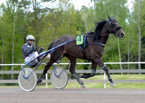 Inför V75 (lördag): Dramatisk värmning – kross i loppet