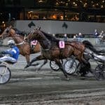 Inför V75 (lördag): Historien kan upprepa sig i Harpers Inför V75 (lördag): Historien kan upprepa sig i Harpers