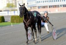 Inför V86: Kim Moberg åker med EN häst till Åby Inför V86: Kim Moberg åker med EN häst till Åby