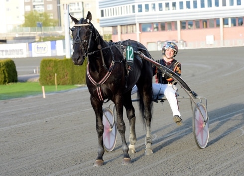 Inför V86: Kim Moberg åker med EN häst till Åby