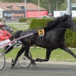 Månprinsen till start i Elitkampen Månprinsen till start i Elitkampen