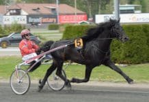 Månprinsen till start i Elitkampen Månprinsen till start i Elitkampen