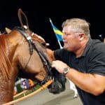 Nimbus C.D. tillbaka på Solvalla Nimbus C.D. tillbaka på Solvalla