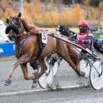 Nya namn till Elitkampen Nya namn till Elitkampen
