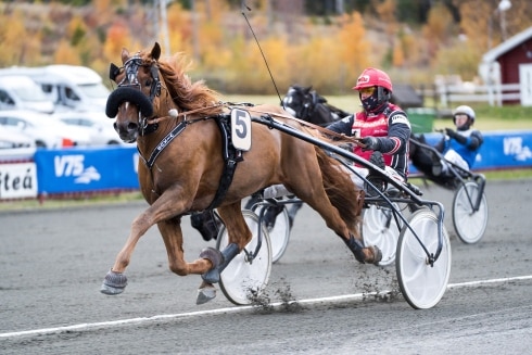 Nya namn till Elitkampen