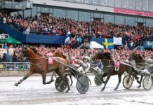 Rekordstort utländskt intresse för Elitloppet 2020 Rekordstort utländskt intresse för Elitloppet 2020
