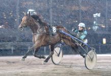 Sex nya deltagare klara för Speedrace Sex nya deltagare klara för Speedrace