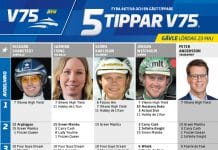Fem tippar V75 till Gävle 23 maj 2020 Fem tippar V75 till Gävle 23 maj 2020