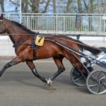 Frode Hamre inför V75 BJERKE Frode Hamre inför V75 BJERKE