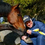 Inför V75/jackpot: ”Hästen har aldrig i hela sitt liv känts bättre” Inför V75/jackpot: "Hästen har aldrig i hela sitt liv känts bättre"