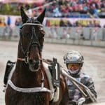 Inför V75: ”Hästen känns ruggigt fin” Inför V75: "Hästen känns ruggigt fin"