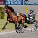 Inför V75/jackpot: ”Det räcker med två streck” Inför V75/jackpot: ”Det räcker med två streck”