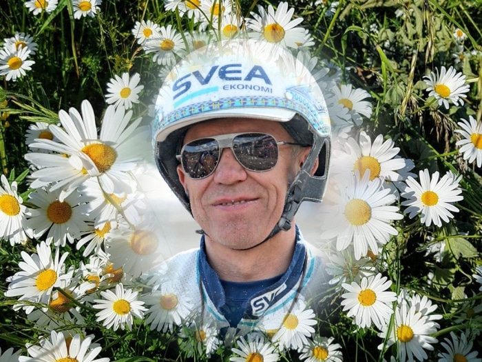 Inför V75/jackpot: Kihlström om sill och midsommarchanser