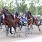 Inför V75/jackpot: Obesegrade jättelöftet favorit i E3-finalen Inför V75/jackpot: Obesegrade jättelöftet favorit i E3-finalen
