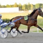 Inför V75/jackpot: Wäjerstens kulltopp mot tredje raka i E3 Inför V75/jackpot: Wäjerstens kulltopp mot tredje raka i E3