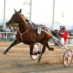 Inför V75/superjackpot: ”Campo Bahia känns hur fin som helst” Inför V75/superjackpot: ”Campo Bahia känns hur fin som helst”