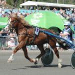 Inför V75/superjackpot: Flera heta chanser för kusktalangen Inför V75/superjackpot: Flera heta chanser för kusktalangen