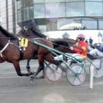 Inför V75/superjackpot: Jättelöftet har gett Goop gråa hår Inför V75/superjackpot: Jättelöftet har gett Goop gråa hår