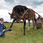 Inför V86: Tarzan ligger lågt med Green Manalishi Inför V86: Tarzan ligger lågt med Green Manalishi
