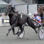 Inför V75/jackpot: ”Två av mina hästar har aldrig varit bättre än de är nu” Inför V75/jackpot: "Två av mina hästar har aldrig varit bättre än de är nu"