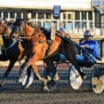 Inför V75®/dubbeljackpot: Obesegrad i ny regi Inför V75®/dubbeljackpot: Obesegrad i ny regi