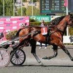 Inför V75 (torsdag): Osterc jagar tung titel Inför V75® (torsdag): Osterc jagar tung titel