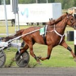 Inför V86: Kihlström tycker att det ser vettigt ut Inför V86®: Kihlström tycker att det ser vettigt ut